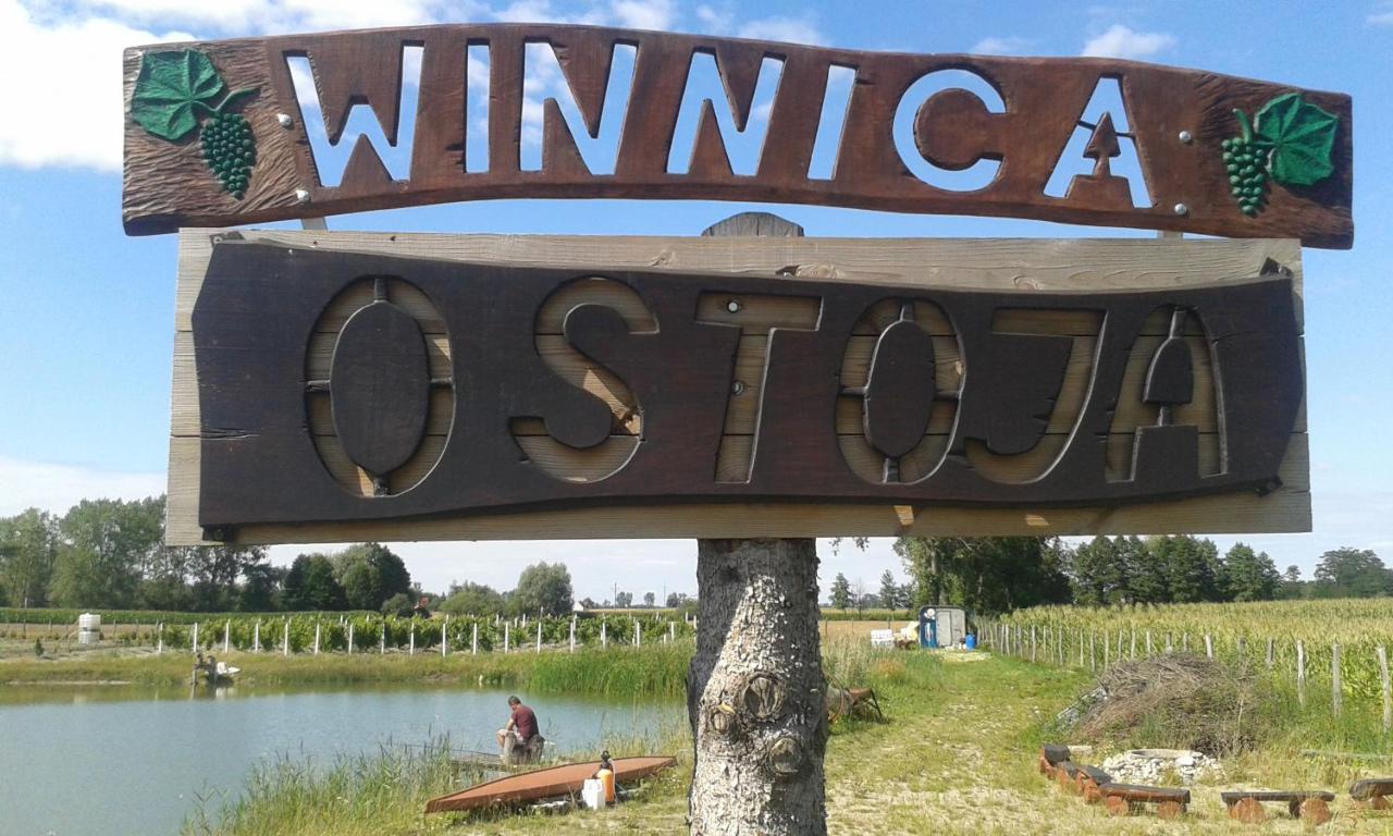 Agroturystyka Willa Ola Giewartów 外观 照片